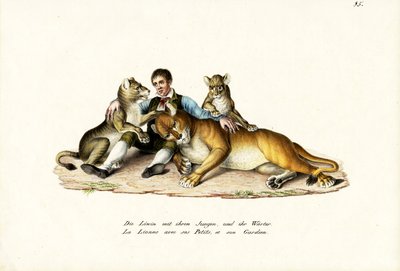 Lioness With Cubs by Karl Joseph Brodtmann
